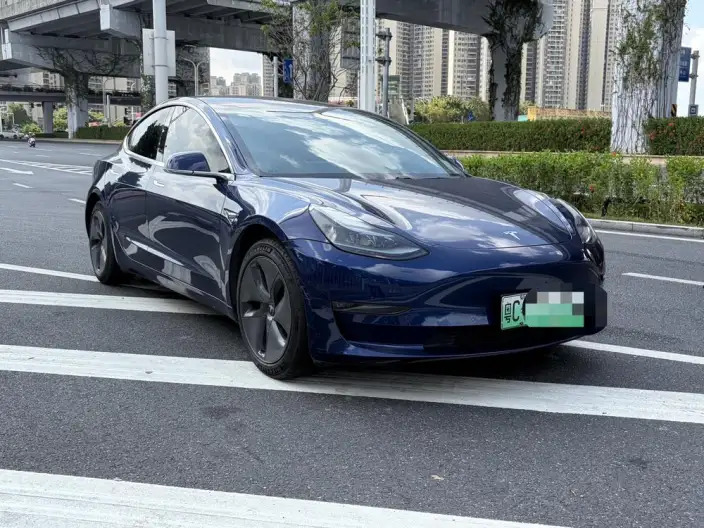 Model 3 2020 Model Facelift Long Battery Life Pro Rear-wheel drive version – фото 3