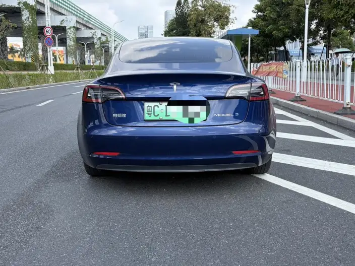 Model 3 2020 Model Facelift Long Battery Life Pro Rear-wheel drive version – фото 5