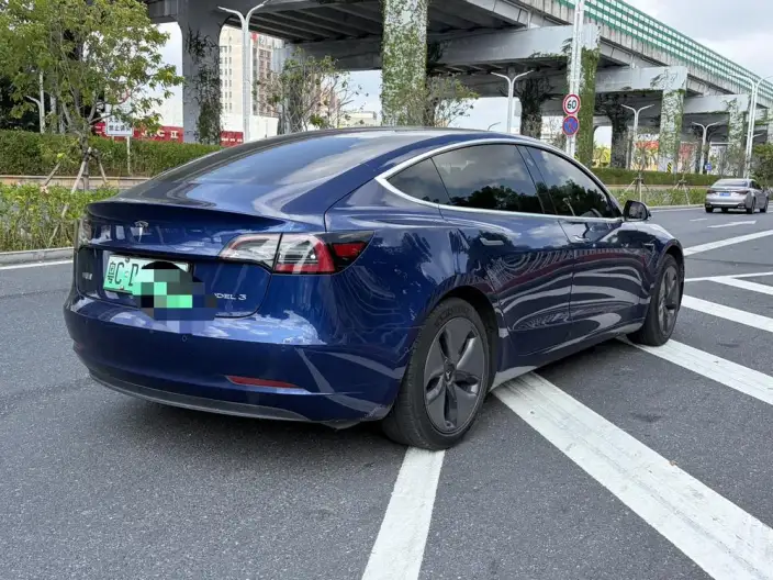 Model 3 2020 Model Facelift Long Battery Life Pro Rear-wheel drive version – фото 6