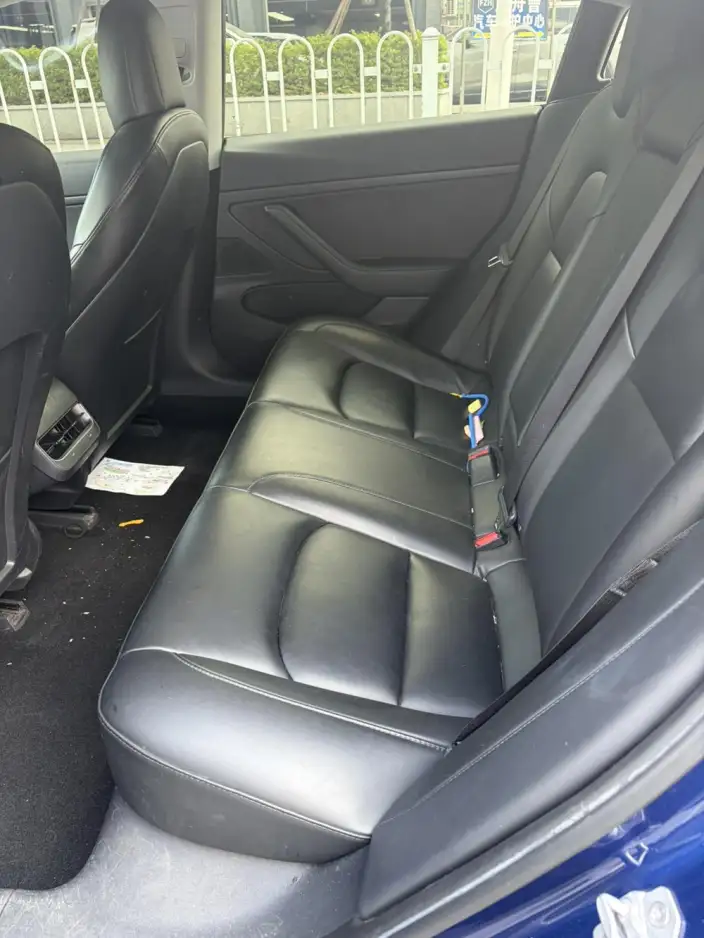 Model 3 2020 Model Facelift Long Battery Life Pro Rear-wheel drive version – фото 9