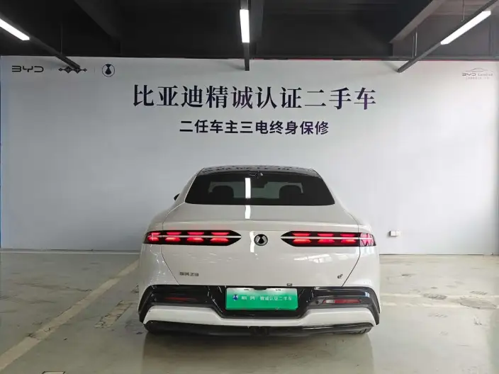 DENZA Z9 DM 2024 Model 1100 4WD Max Edition – фото 4