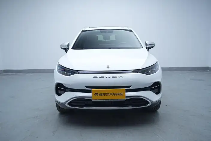 Denza X PHEV 2020 Model 2.0T Ultimate Edition – фото 2