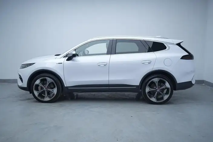 Denza X PHEV 2020 Model 2.0T Ultimate Edition – фото 4