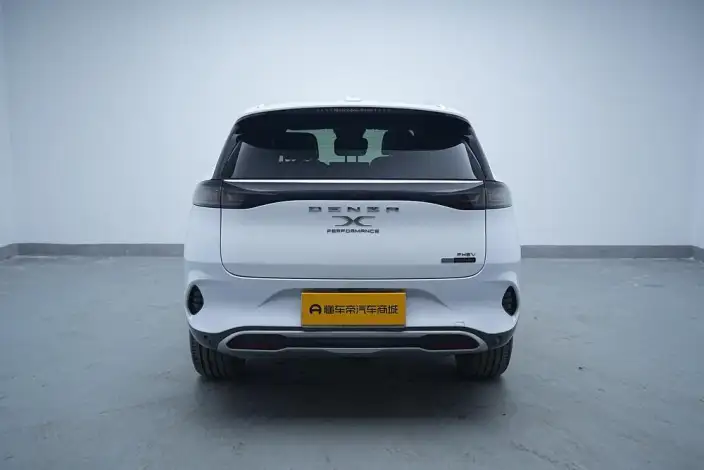 Denza X PHEV 2020 Model 2.0T Ultimate Edition – фото 6