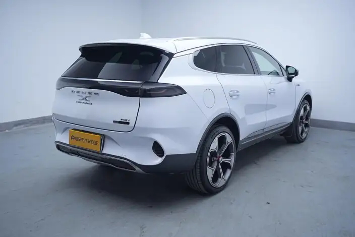 Denza X PHEV 2020 Model 2.0T Ultimate Edition – фото 7