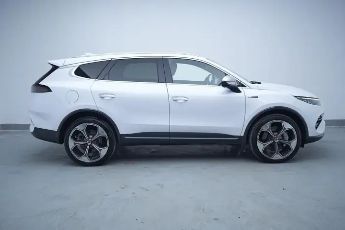 Denza X PHEV 2020 Model 2.0T Ultimate Edition – фото 8