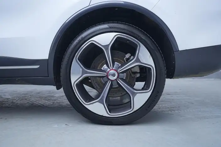 Denza X PHEV 2020 Model 2.0T Ultimate Edition – фото 9