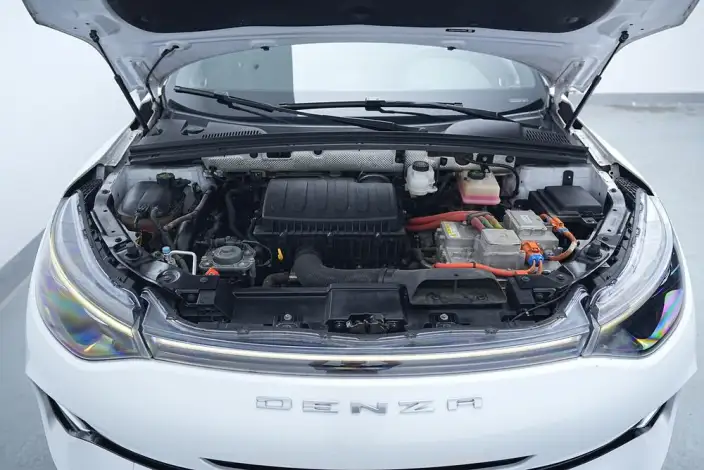 Denza X PHEV 2020 Model 2.0T Ultimate Edition – фото 10