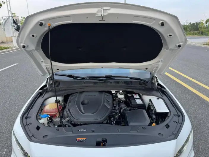 Geely StarRui 2021 Model 2.0T Noble Model – фото 7