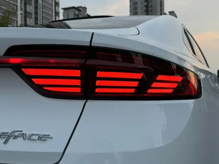 Geely StarRui 2021 Model 2.0T Noble Model – фото 9