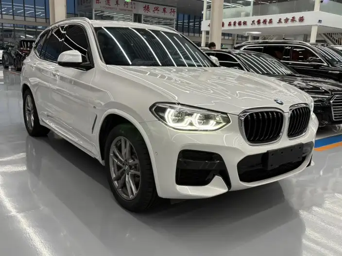 BMW X3 2020 Model xDrive28i M Sports Set – фото 3