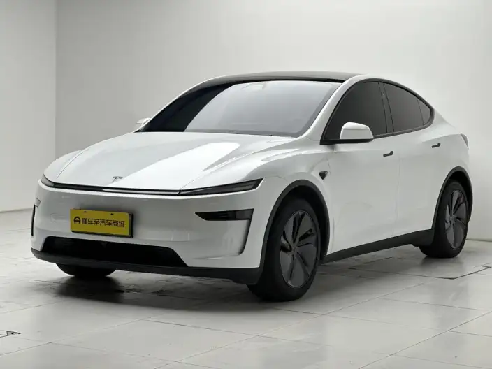 Model Y 2025 Model Rear-wheel drive version – фото 1