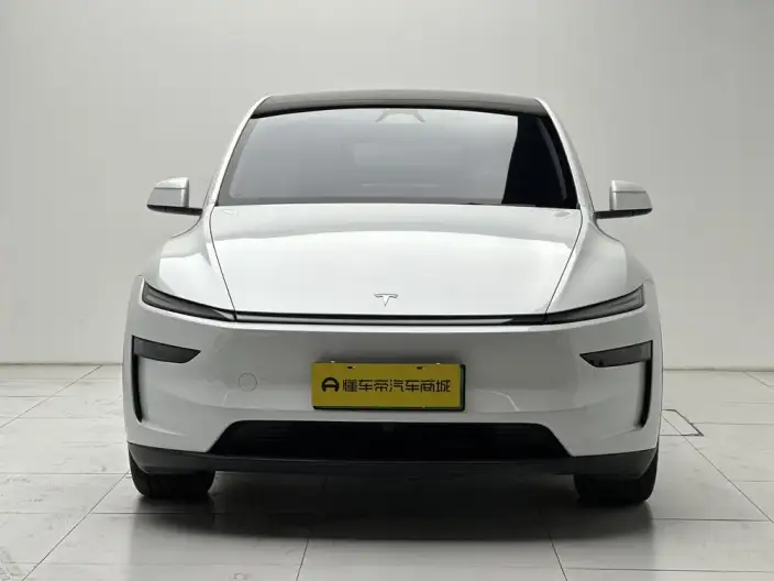 Model Y 2025 Model Rear-wheel drive version – фото 2
