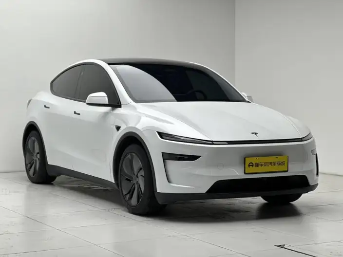 Model Y 2025 Model Rear-wheel drive version – фото 3