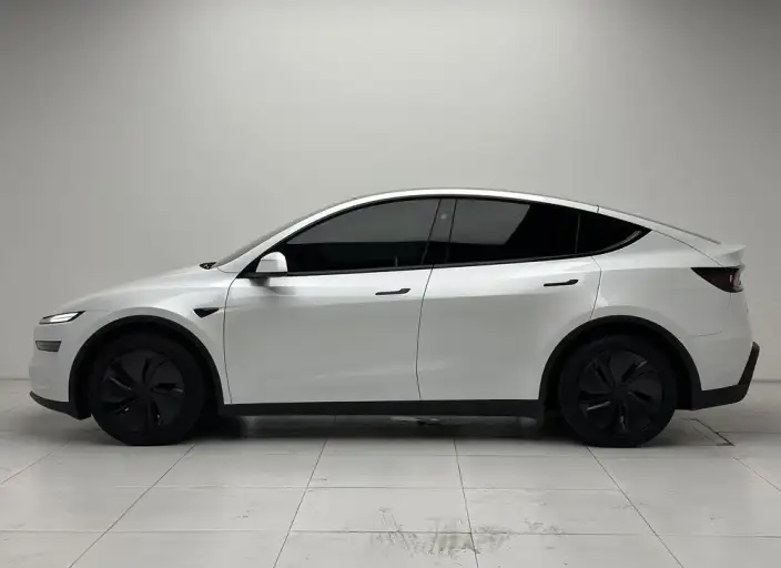 Model Y 2025 Model Rear-wheel drive version – фото 4