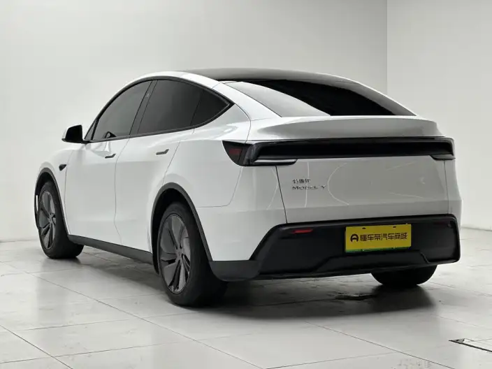 Model Y 2025 Model Rear-wheel drive version – фото 5