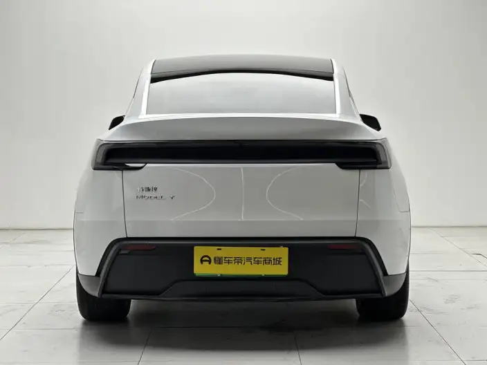 Model Y 2025 Model Rear-wheel drive version – фото 6