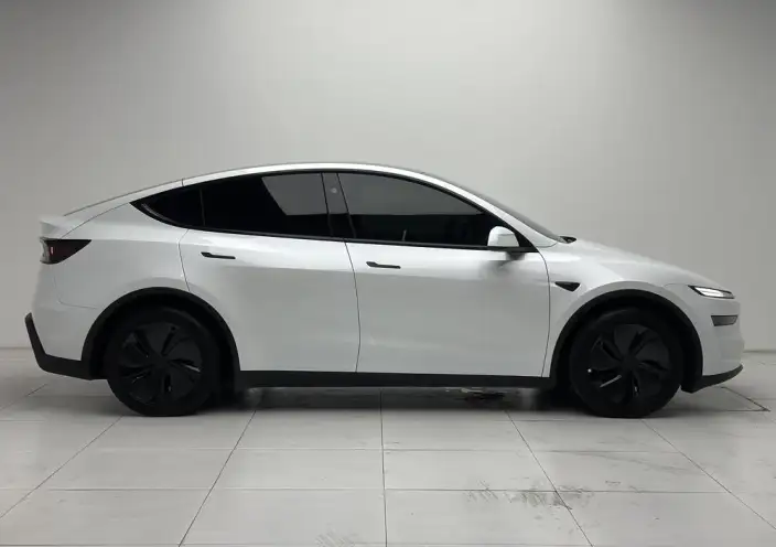 Model Y 2025 Model Rear-wheel drive version – фото 8