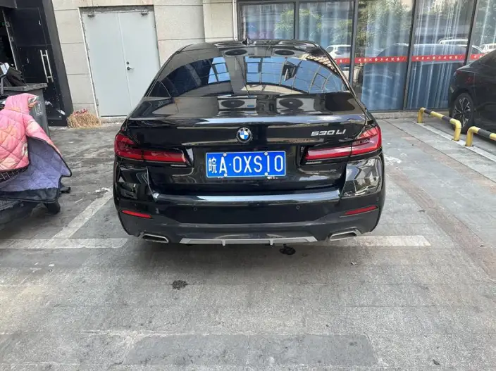 BMW 5 Series 2021 Model 530Li Leading Model M Sports Set – фото 5