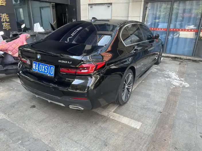 BMW 5 Series 2021 Model 530Li Leading Model M Sports Set – фото 6
