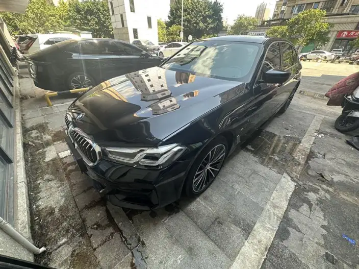 BMW 5 Series 2021 Model 530Li Leading Model M Sports Set – фото 10