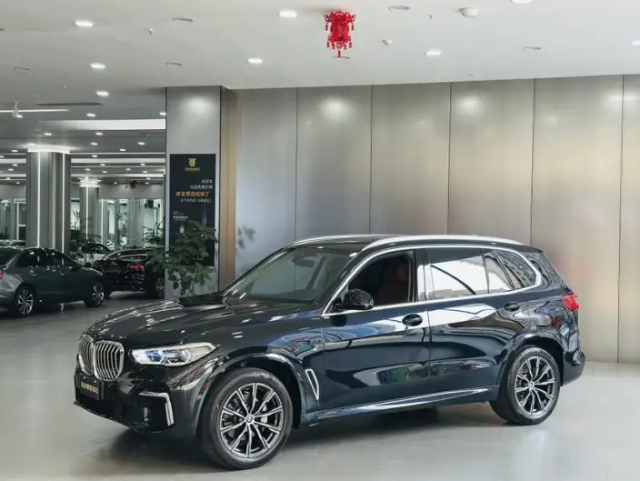BMW X5 2022 Model xDrive 30Li Exclusive Model M Sports Set – фото 1