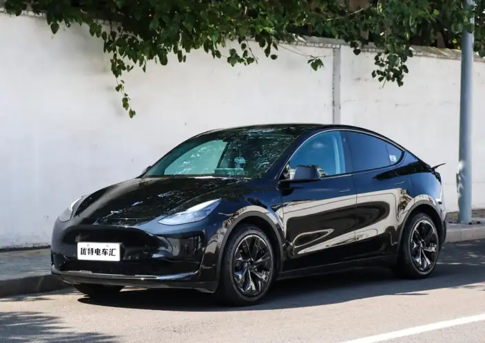 Model Y 2022 Model Rear-wheel drive version – фото 1