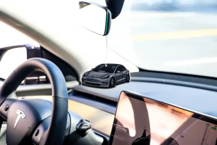 Model Y 2022 Model Rear-wheel drive version – фото 9