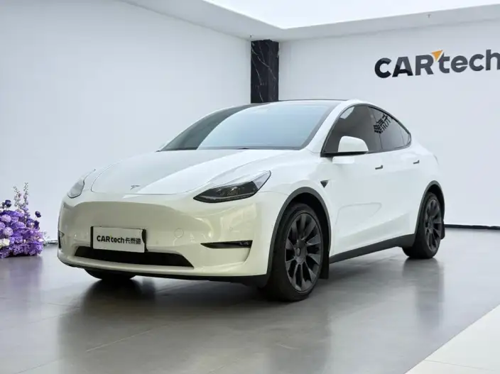 Model Y 2022 Model Long Battery Life Pro All-wheel drive version – фото 1
