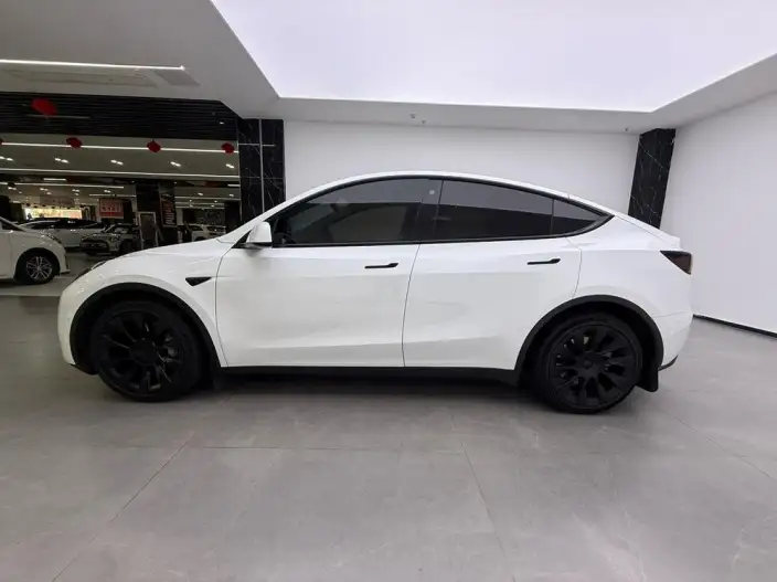 Model Y 2022 Model Long Battery Life Pro All-wheel drive version – фото 4