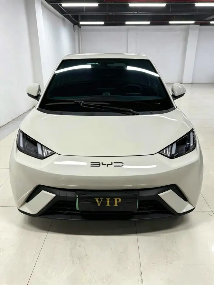 BYD Seagull 2023 Model Free Edition – фото 2