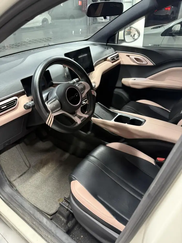 BYD Seagull 2023 Model Free Edition – фото 8