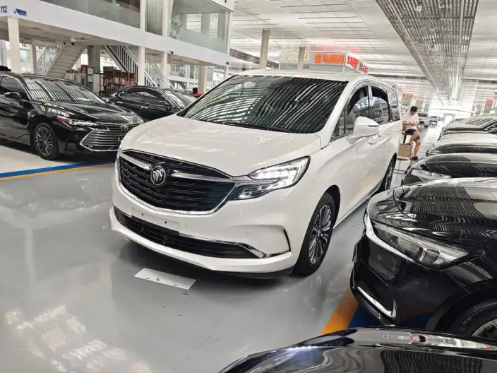 Buick GL8 2021 Model ES Luzun 653T Luxury Model – фото 1