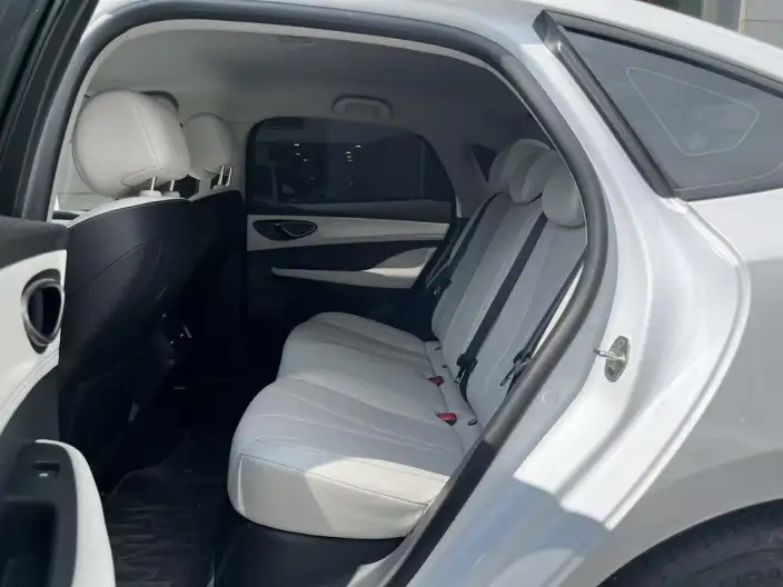 BYD Seal 05DM 2025 Model Smart Driving Edition DM-i 55KM Luxury Model – фото 9