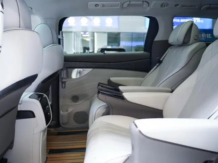 DENZA D9 DM 2022 Model 945 Luxury Model – фото 10