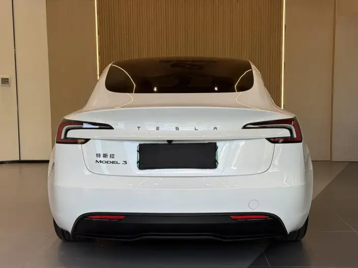 Model 3 2025 Model Facelift Rear-wheel drive version – фото 6