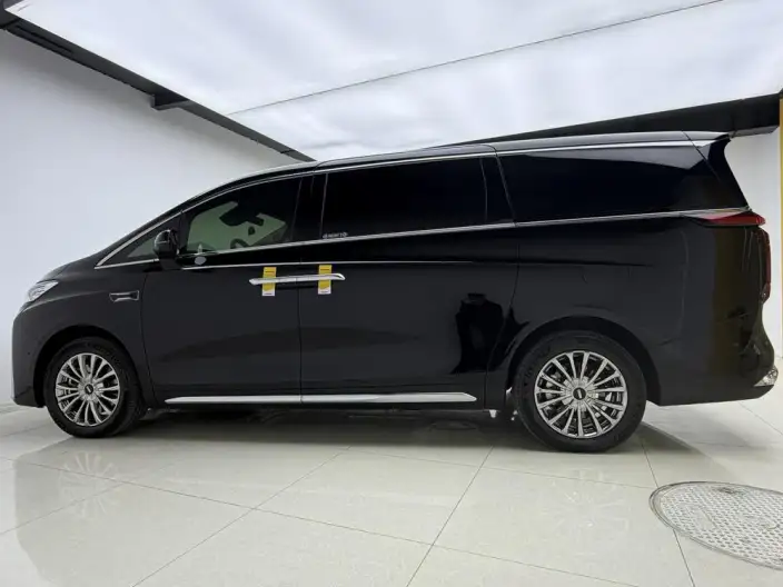 Wey Gaoshan P HEV 2025 Model 4WD Wey Gaoshan 8 – фото 4