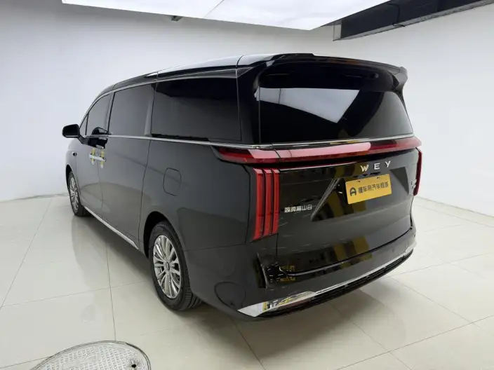 Wey Gaoshan P HEV 2025 Model 4WD Wey Gaoshan 8 – фото 5