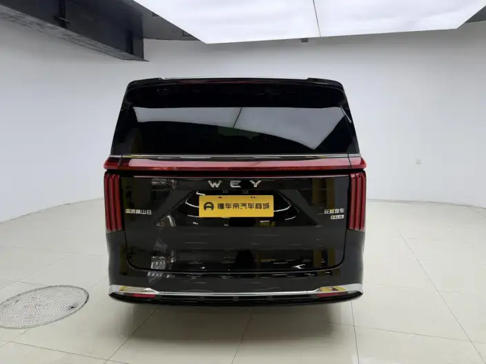 Wey Gaoshan P HEV 2025 Model 4WD Wey Gaoshan 8 – фото 6