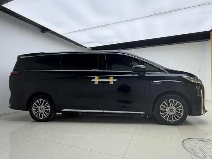 Wey Gaoshan P HEV 2025 Model 4WD Wey Gaoshan 8 – фото 8