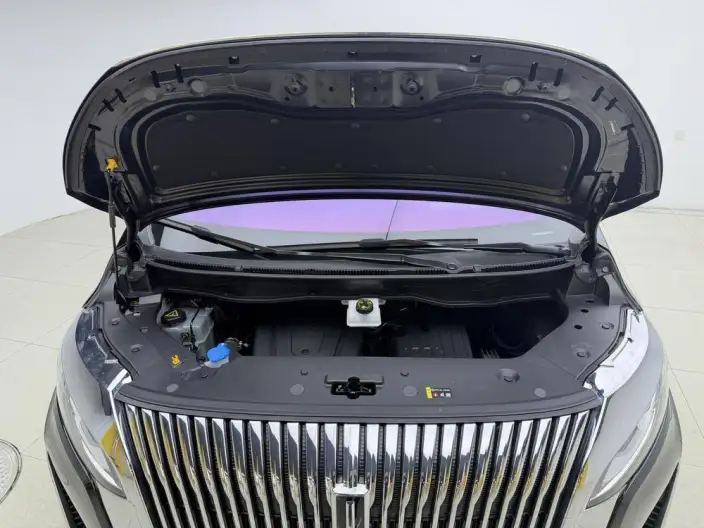 Wey Gaoshan P HEV 2025 Model 4WD Wey Gaoshan 8 – фото 10