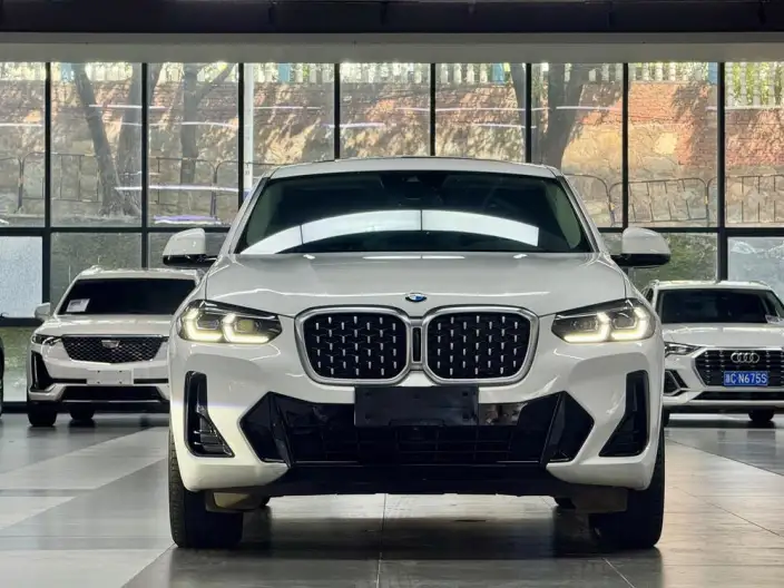BMW X4 2022 Model xDrive 25i M Sports Set – фото 2