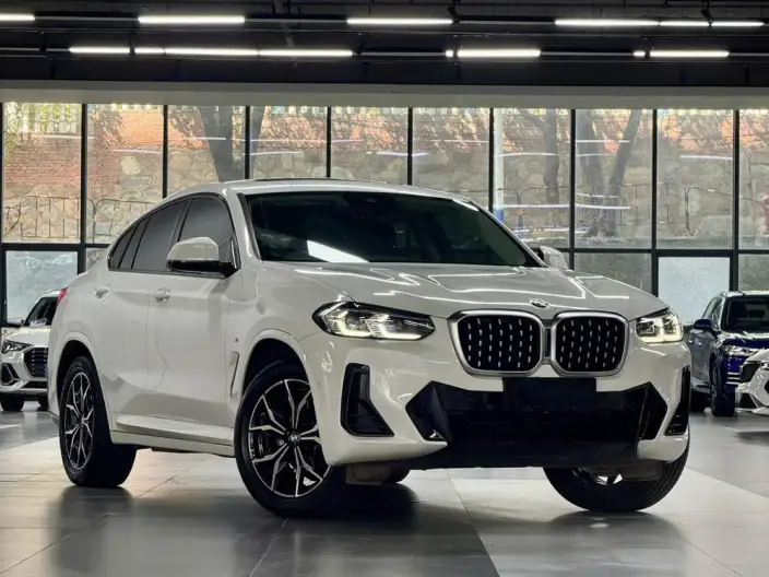 BMW X4 2022 Model xDrive 25i M Sports Set – фото 3
