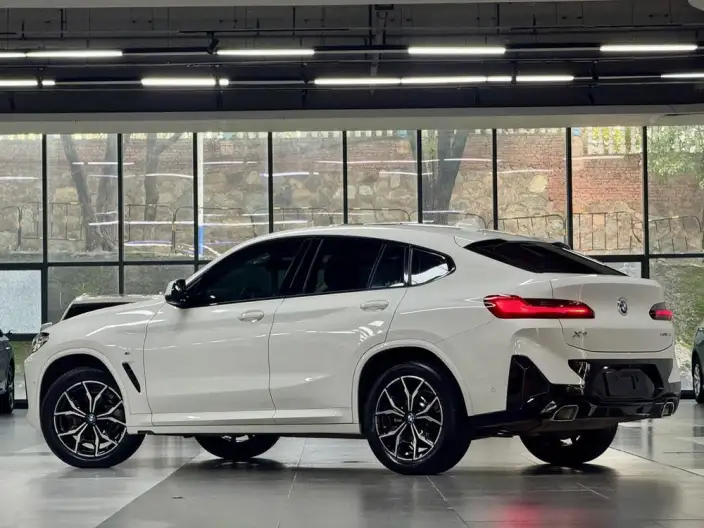 BMW X4 2022 Model xDrive 25i M Sports Set – фото 5