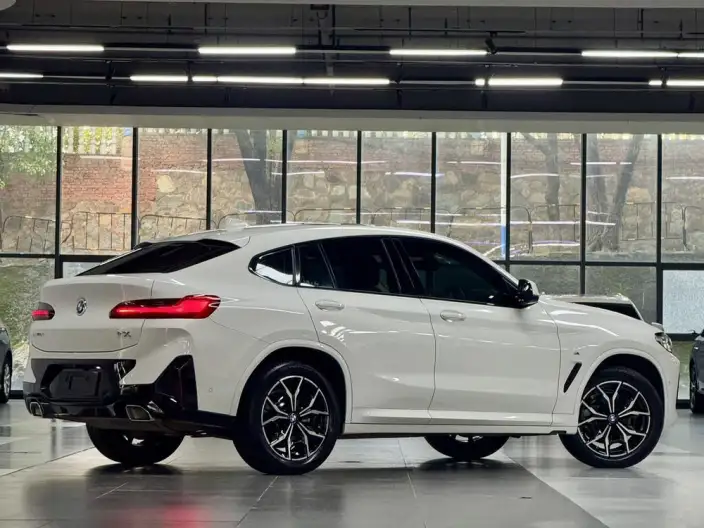 BMW X4 2022 Model xDrive 25i M Sports Set – фото 6