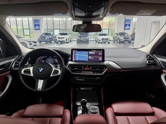 BMW X4 2022 Model xDrive 25i M Sports Set – фото 7