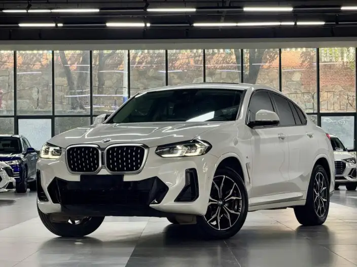 BMW X4 2022 Model xDrive 25i M Sports Set – фото 10