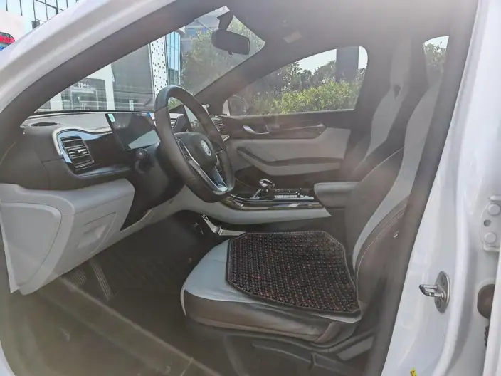 BYD Qin PLUS DM 2023 Model DM-i Champion Edition 55KM Leading Model – фото 10