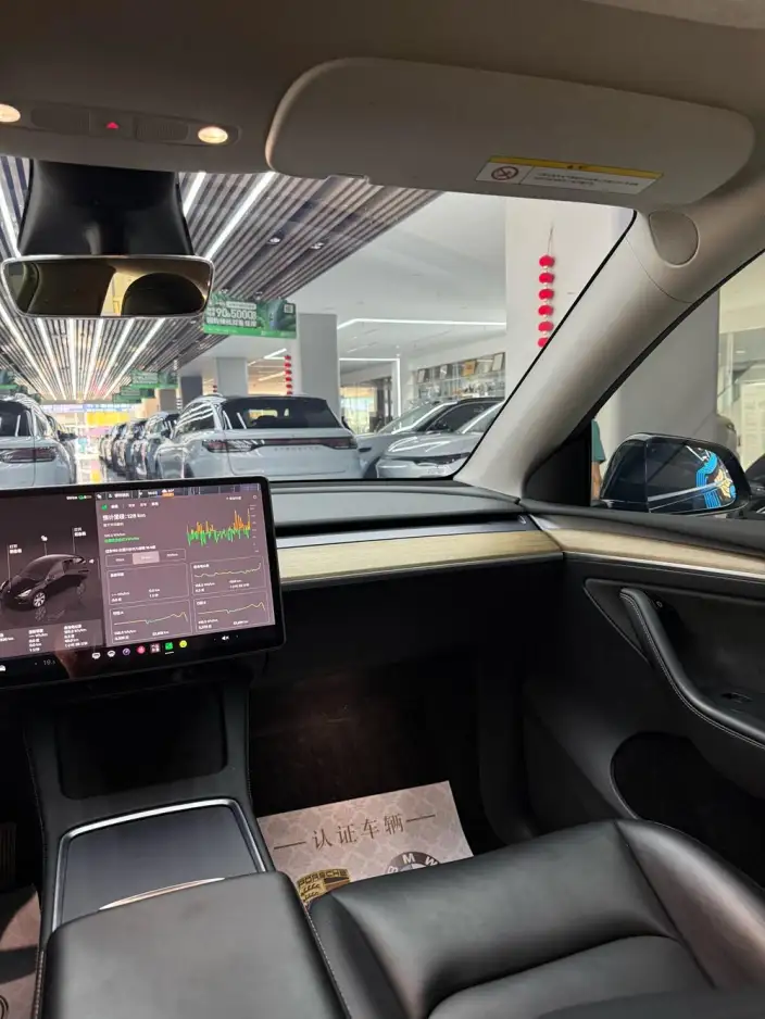 Model Y 2022 Model Facelift Rear-wheel drive version – фото 6
