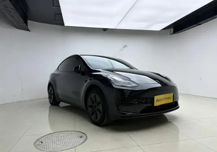 Model Y 2024 Model Rear-wheel drive version – фото 3